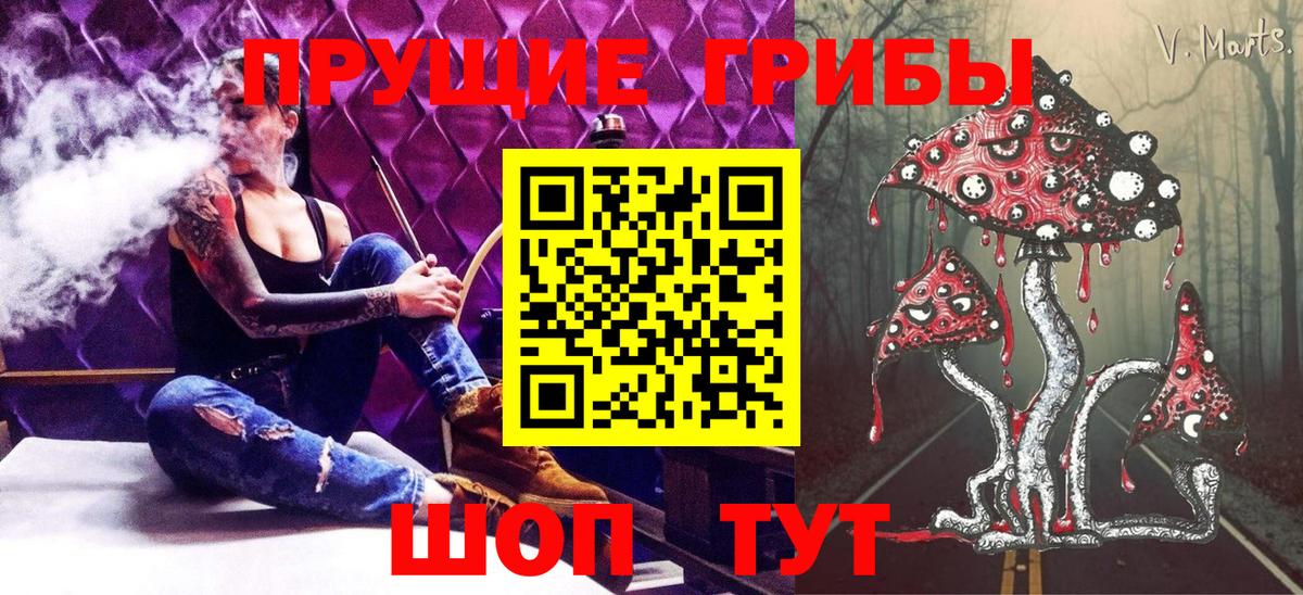 Галлюциногенные грибы GOLDEN TEACHER  Вход с VPN  Дедовск 